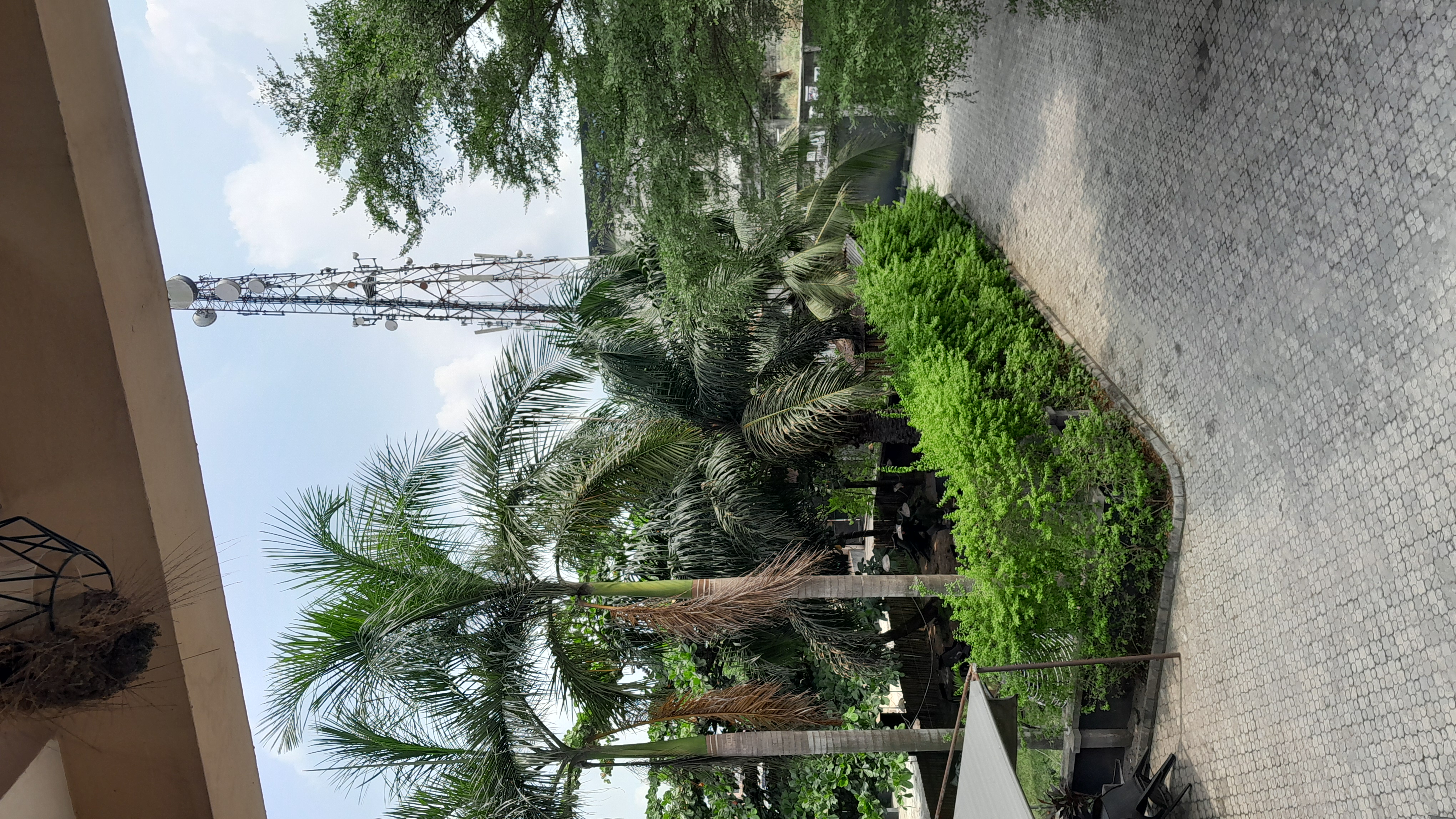 ChrisGardens Open Garden, Oribanwa Lagos