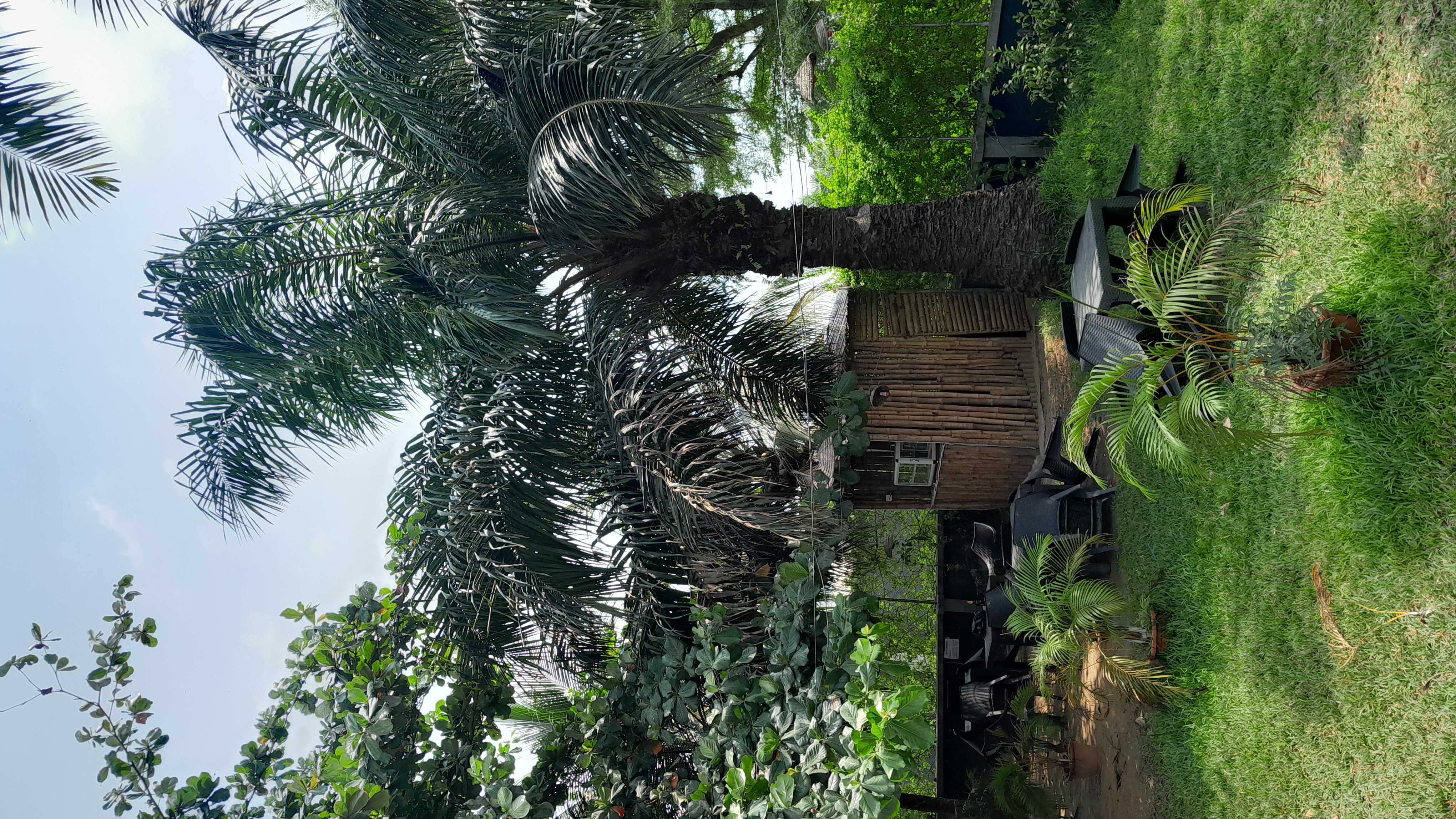 Open Garden at ChrisGardens